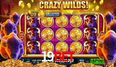 cassino 19bet