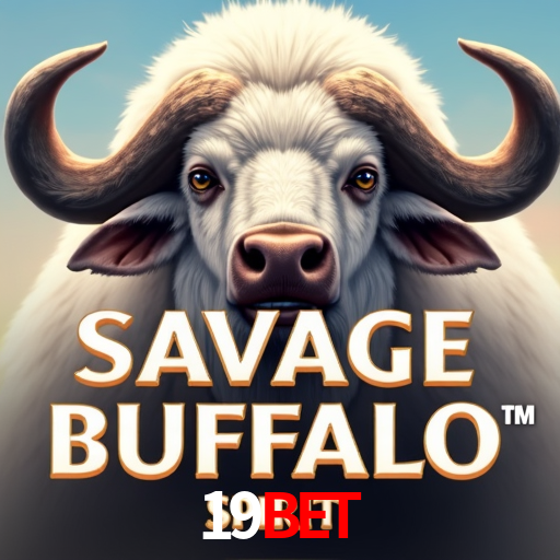 Descubra a Essência do 19bet: Nossa História e Compromissos